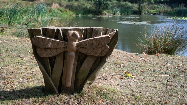 Dragonfly by the ponds sculpture